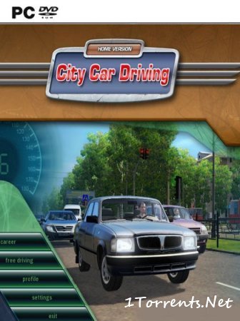 City Car Driving (2016)