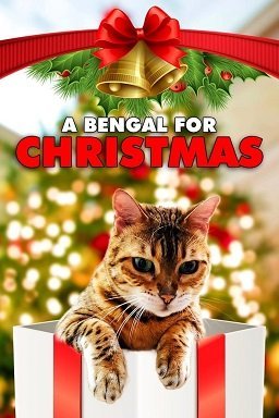 Бенгальская кошка на Рождество (2023)