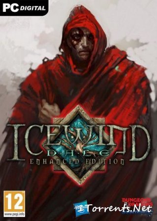 Icewind Dale: Enhanced Edition (2014)