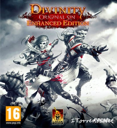Divinity: Original Sin Enhanced Edition (2015)