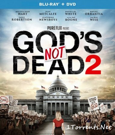    2 (2016)