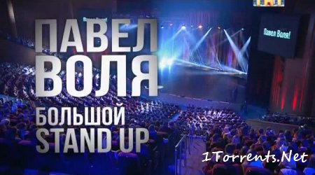    stand-up  2016