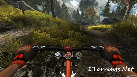 MTB Freeride 2 (2016)