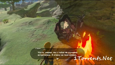 The Legend of Zelda: Breath of the Wild (2017)