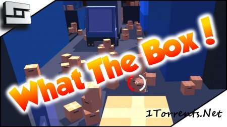 What the box? (2016)