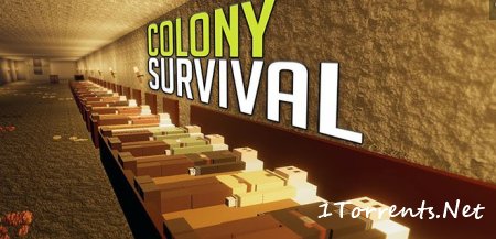 Colony Survival (2017)