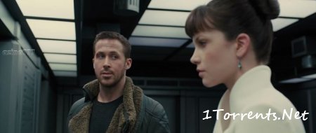    2049 (2017)