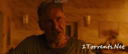    2049 (2017)