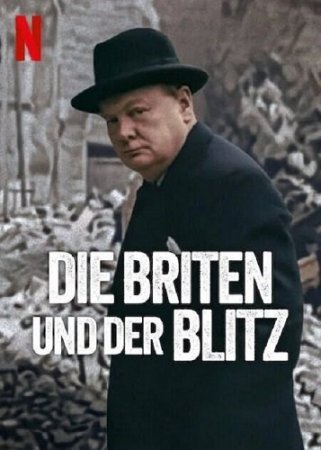    (2025)