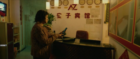   (2025)