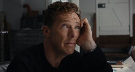   (2025)