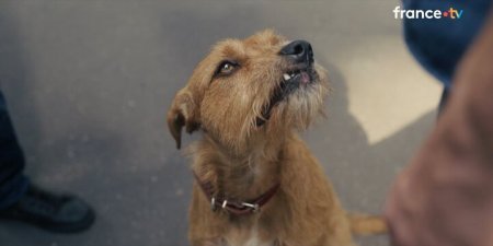 �������� ��� (2026)