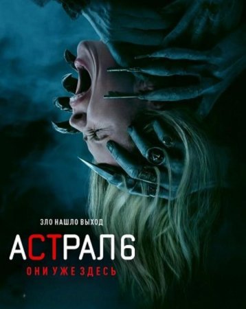 ������ 6: ��� ��� ����� (2026)